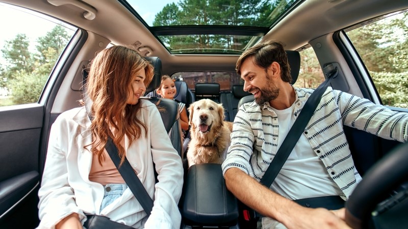 om and Dad with their daughter and a Labrador dog are sitting in the car. Leisure, travel, tourism.