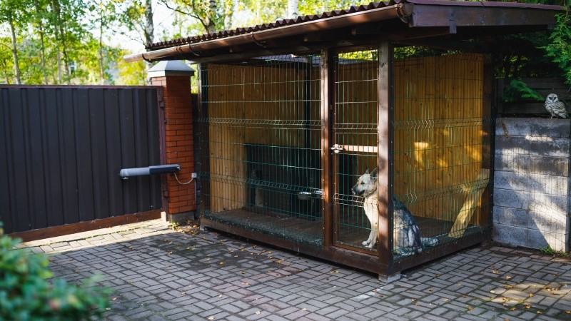 outdoor dog kennel enclosure on front yard