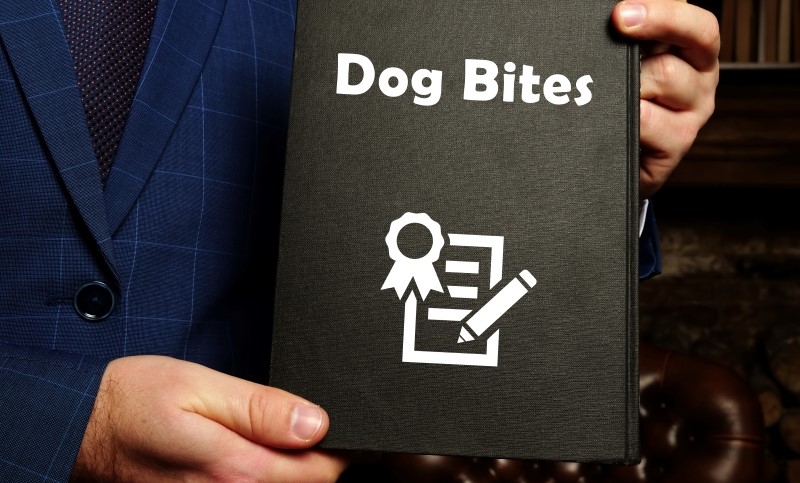 Juridical concept about Dog Bites with phrase on the sheet.