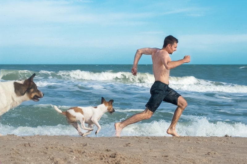 guy running away from angry dogs. Dogs chases to bite