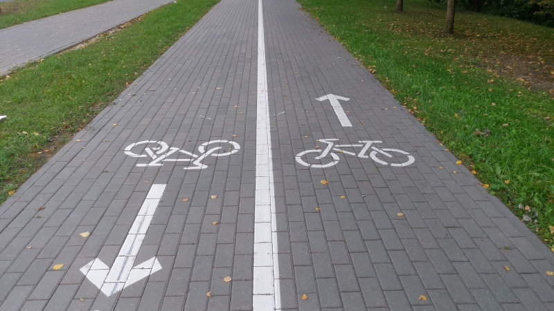 The bike lane, located between the park's trees and the roadway of a city street,