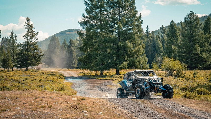 Buggy trip
