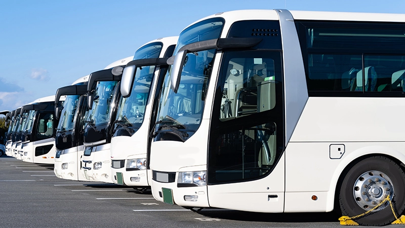 Tourist buses