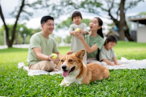 Family With Children and Dog in Richland Washington Park